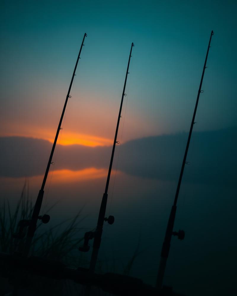 Carp rods on rod pods at sunrise